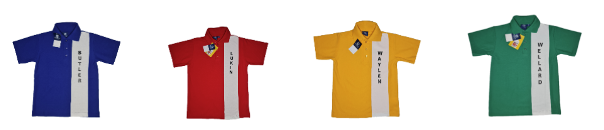 Ardross PS faction shirts