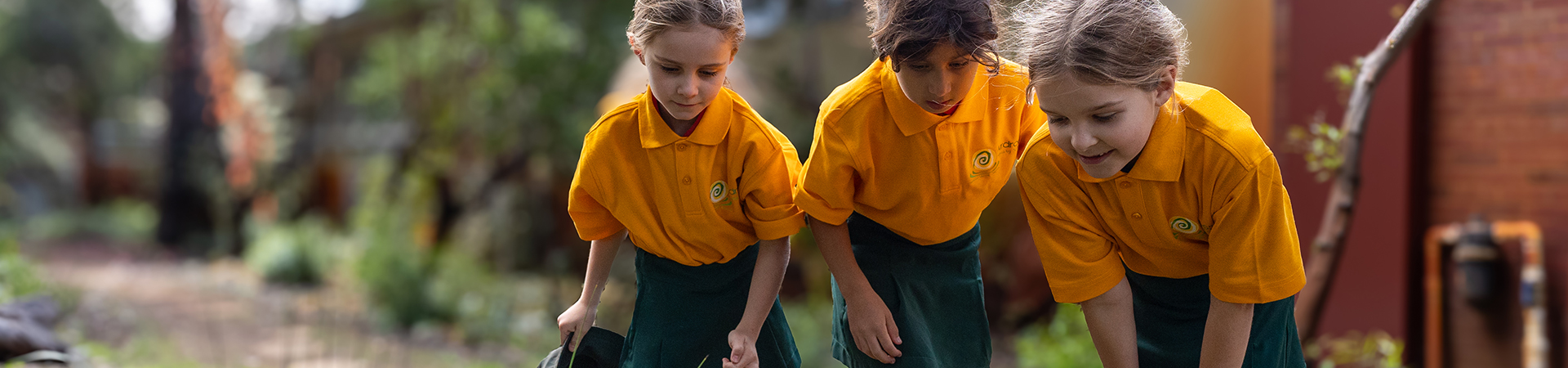 Ardross Primary School